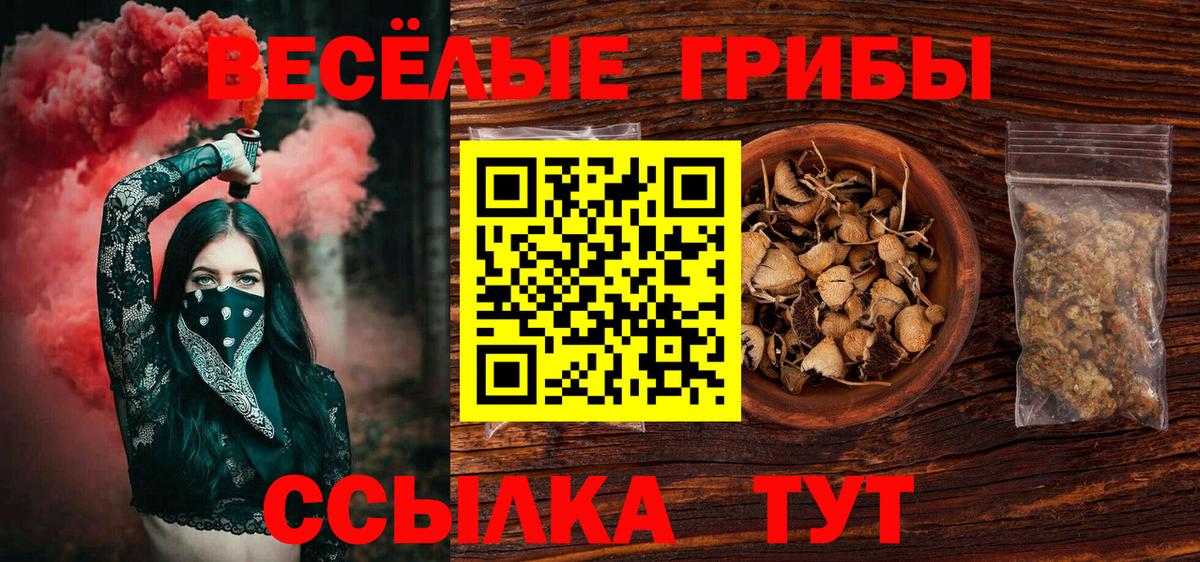 Галлюциногенные грибы Psilocybe Тимашёвск