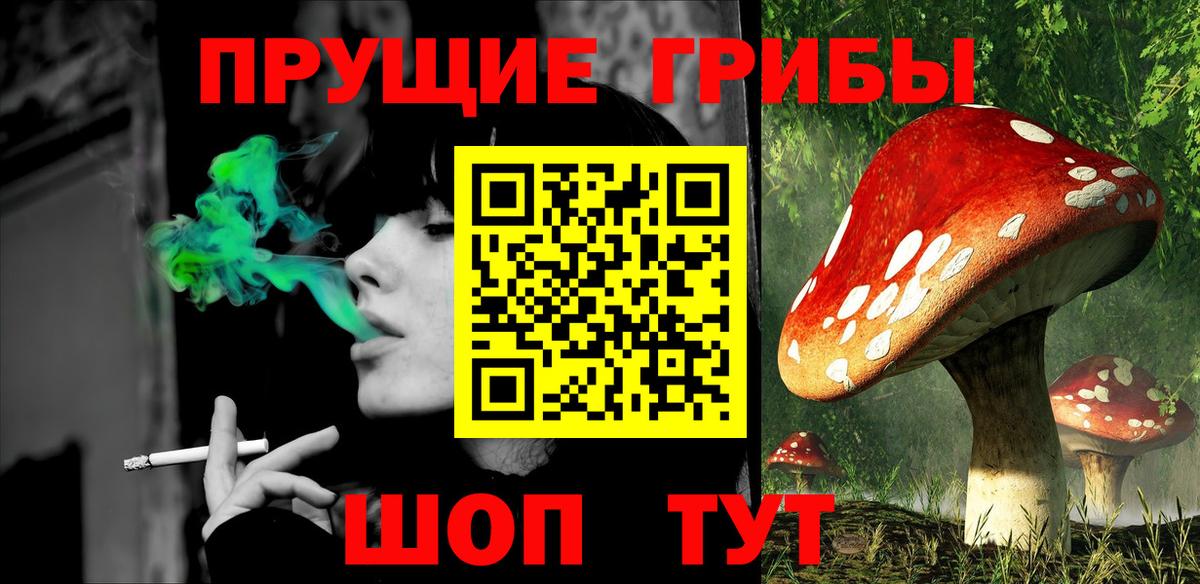 Псилоцибиновые грибы Psilocybe  Вход с VPN  Тимашёвск 
